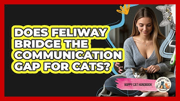 Does Feliway Bridge The Communication Gap For Cats? - Happy Cat Handbook
