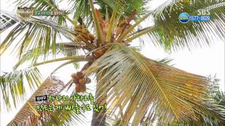 정글의법칙(김병만,김원준,한은정) 131115 #18(3)