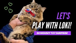 Let's Play! 50 Mouse Toy Surprise with Loki the Siberian Cat by Happy Fuel 1,485 views 3 years ago 3 minutes, 11 seconds