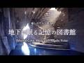 地下に眠る記憶の図書館|異世界ケルト音楽・癒しBGM【作業用・勉強用・睡眠用】Ethereal Celtic Music with Angelic Voice