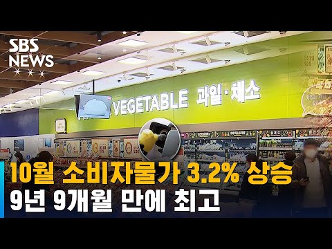 10월 소비자물가 3.2% 상승…9년 9개월 만에 최고 / SBS