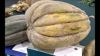 Malvern Autumn National Giant Vegetable Championships 2026