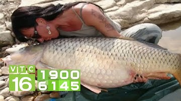 Làm giàu nhờ nuôi cá trắm cỏ theo hướng an toàn | VTC16