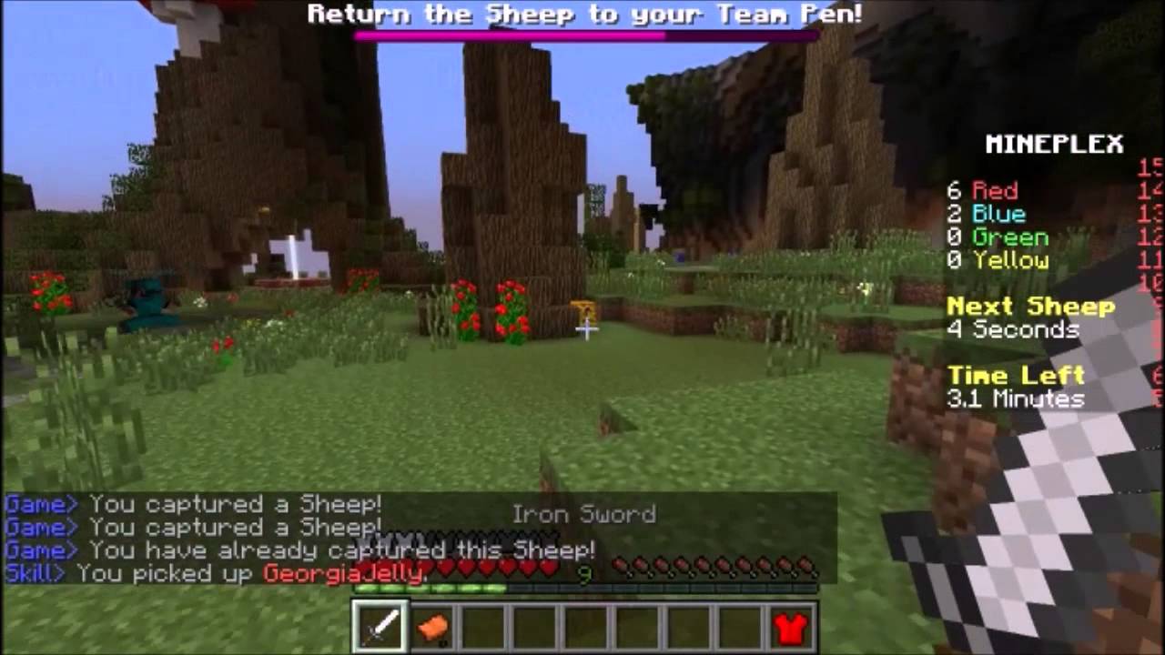 Hackers on Mineplex 1