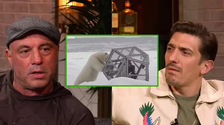 Joe Rogan - Terrifying Polar Bear Story