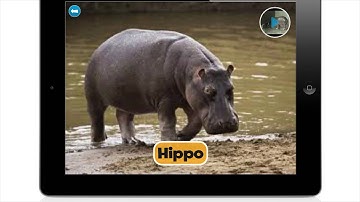 Kids Flashcards Maker