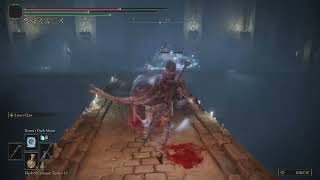 NG+9 Walkthrough (Fringefolk Hero's Grave)