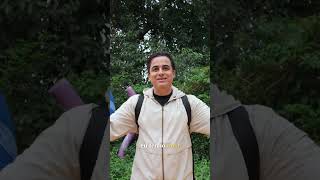 Tráfego Orgânico: Como Alcançar Milhões de Visualizações! #shorts