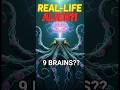 😱This Animal Has 9 BRAINS?| #AnimalFacts#factshorts#Octopus #AmazingFacts#ScienceFacts