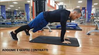 Plank Tiger Up
