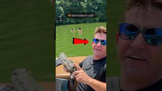 The boy pranked by releasing a crocodile into the water