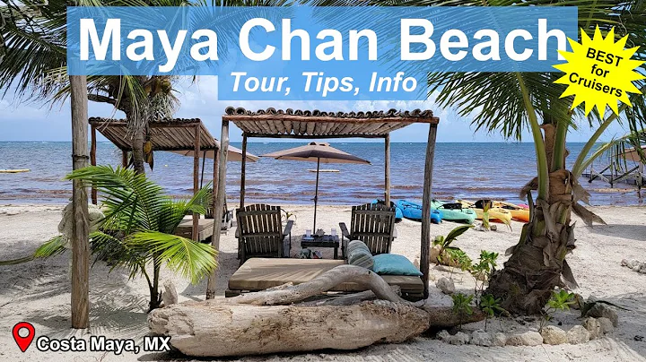 The Best Cruise Excursion in Mexico? | Maya Chan B...