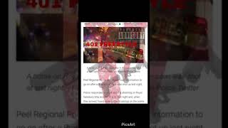 401 FREESTYLE