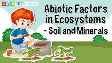 Abiotic Factors in Ecosystems – Soil and Minerals