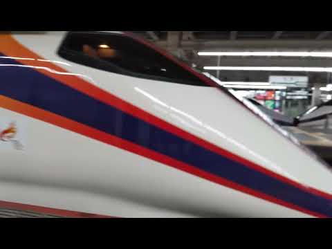 E2系J61編成+E3系L70編成 東北新幹線 やまびこ・つばさ154号 発車 大宮駅