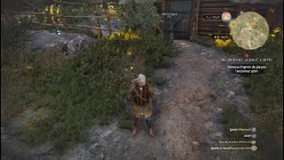 The Witcher 3 Wild Hunt 44 A 0 Arbalétrier Échec