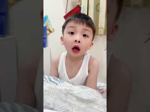 防疫期間 小彬彬的日常