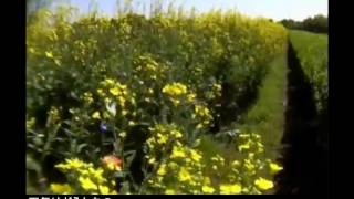 教科書ぴったりテスト理科動画サンプル