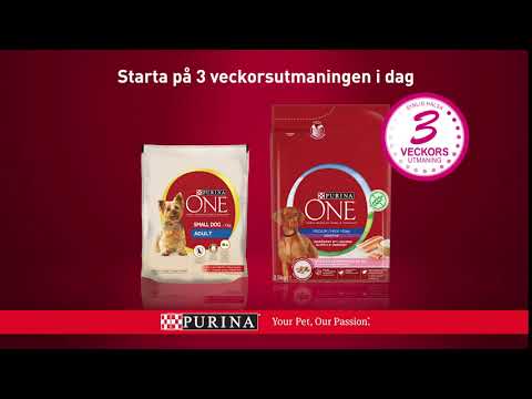 Purina ONE® 3-veckorsutmaning