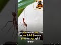 kuchh log apne matlab ke liye apka sath dete hain ✅ Jay shree Ram #sortyoutubvideo ✅🙏