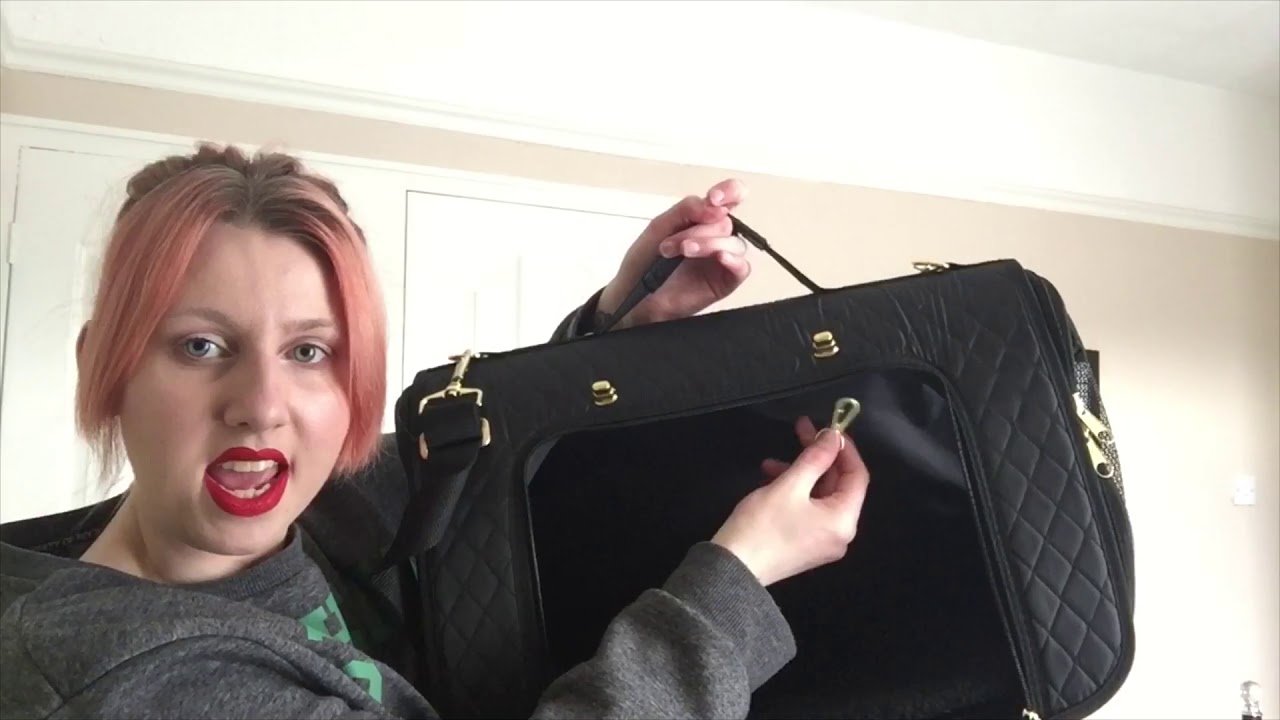 PETS AT HOME & THE RANGE (CAT SUPPLIES HAUL!) YouTube