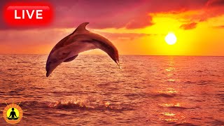 🔴 Relaxing Music 24/7, Sleep Music, Stress Relief Music, Spa, Meditation, Yoga, Zen, Ocean Waves