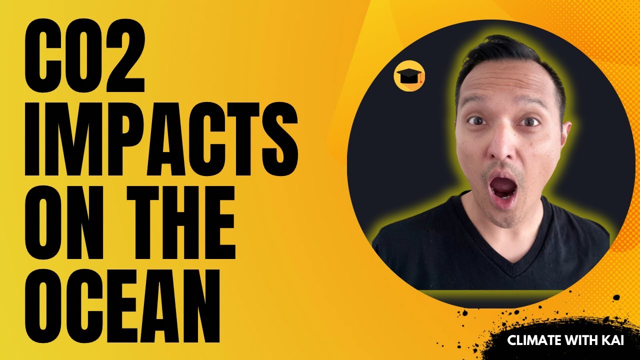 CO2 Impacts on the Ocean