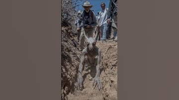 Shocking Chupacabra Sighting Near Mexico—Caught in Broad Daylight