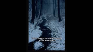 История Тайги и лес «Последний путь Егорки» #история #лес #тайга #путь #shorts