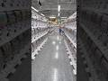 Must-Visit in Osaka Japan , Giant Gachapon Heaven