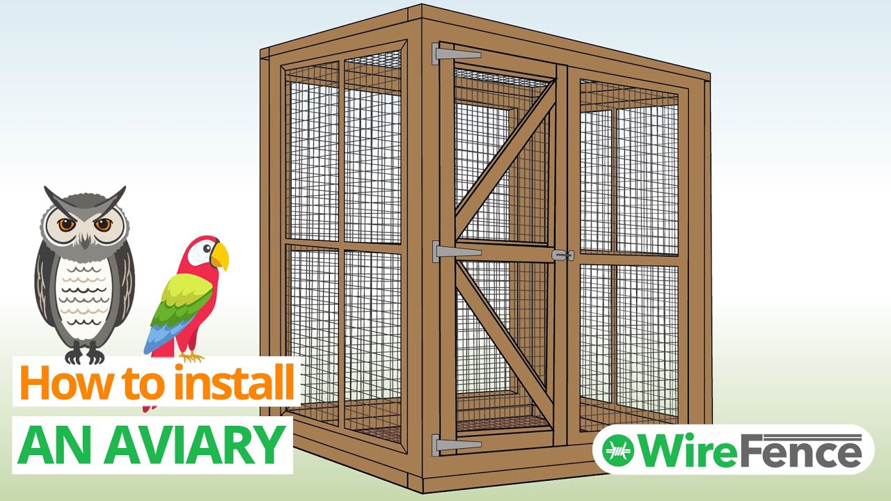 Aviary Installation With Wire Mesh (How to Build From Scratch) | WireFence