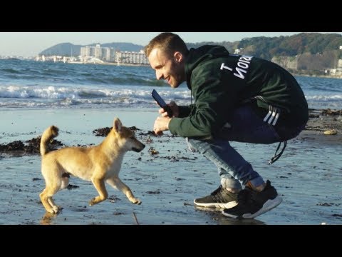 1 MONTH LATER, I SEE MY DOG AGAIN