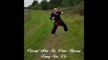 Tang Soo Do form 7 - Pyung Ahn Sa Dan Hyung