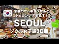 sub【韓国旅行Vlog】念願のサムギョプサルと、タッカンマリを食す！人気の新スポットをめぐる ソウル女子旅3日間 / 明洞 / 聖水 / 漢南洞 /東大門 / 安国 / 益善洞 / 汝矣島