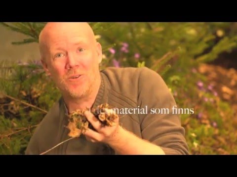 Video: 3 sätt att gödsla jord med äggskal