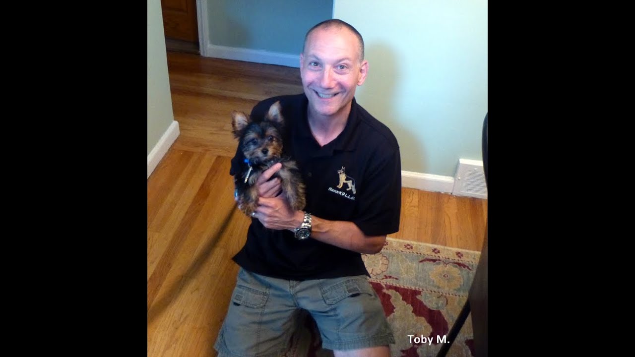 razor k9