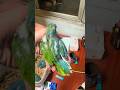 Have you ever seen a Quaker that is half green and half blue? #birds #parrot #parrots #shorts #pets