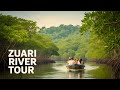 Capturing Stunning Birds on Water | The Truth About Goa's Wildlife Crisis