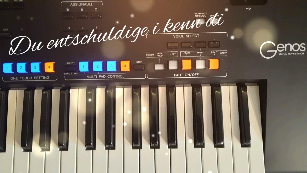 Du entschuldige i kenn di Peter Cornelius Cover by Yamaha Genos