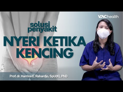 Video: Perincian penting dari novel 