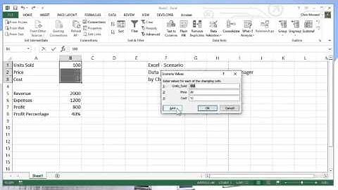 Excel Scenario Manager for budgeting and forecasting by Chris Menard