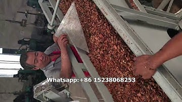 High capacity walnut nut shell separator machine