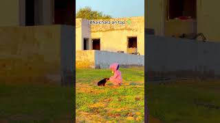 Carzzy Teddy 🥰😍 #funny #topteddy #viral #funnycomedy #funnyvideos #shortsfeed #shorts #shortsviral