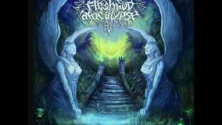 Fleshgod Apocalypse - Post Enlightenment Executor