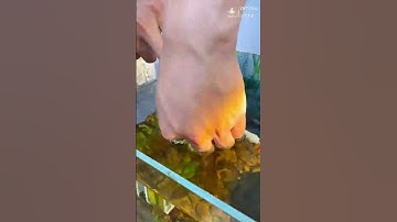 Lọc Nước Hồ Cá Yee 2 Chức Năng Lọc Và Tạo Sóng, Hiệu Suất Cao Siêu Yên Tĩnh #locbeca #yee #cácảnh