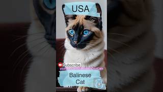 The Balinese cat is closely linked to the Siamese breed and is known for its long, luxurious coat