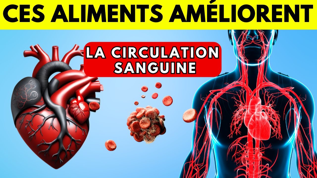 LES 11 ALIMENTS LES PLUS PUISSANTS POUR LA CIRCULATION SANGUINE - YouTube