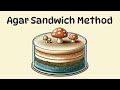 The agar sandwich method  eliminating bacterial contamination from a mushroom culture