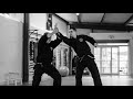 Japanese martial arts in dublin ireland