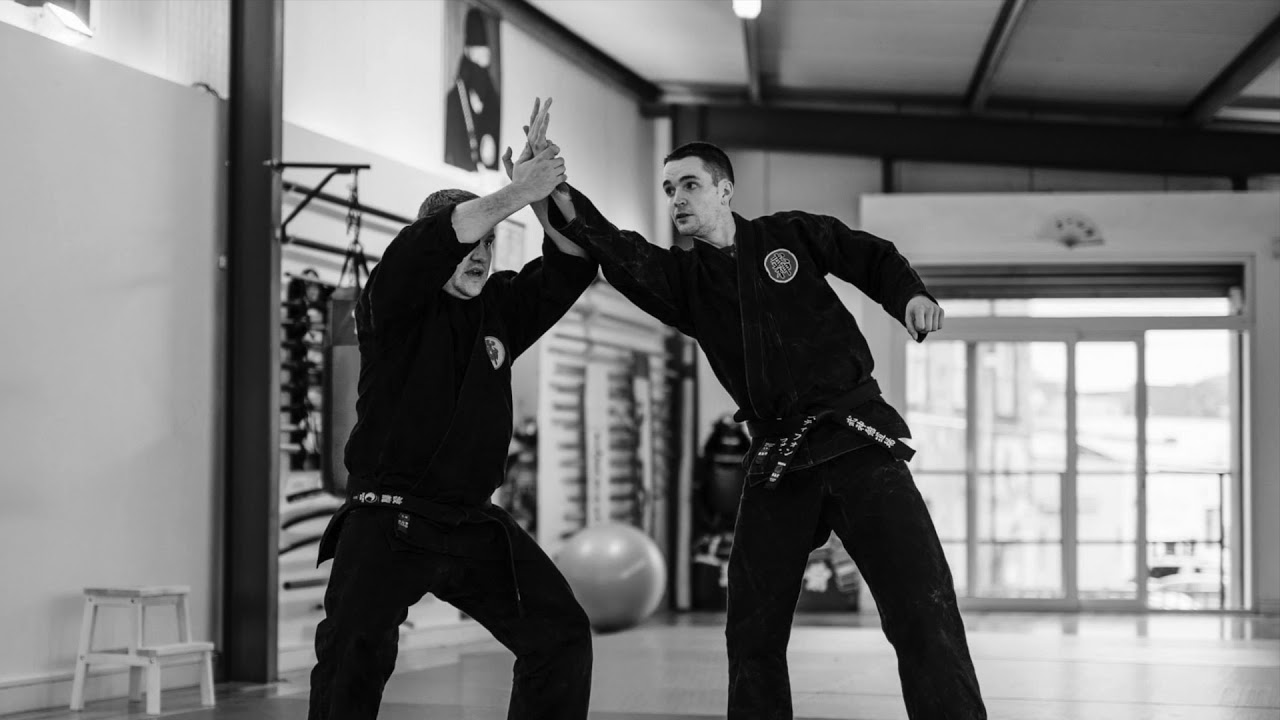 Japanese martial arts in Dublin, Ireland YouTube